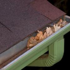 Gutter cleaning